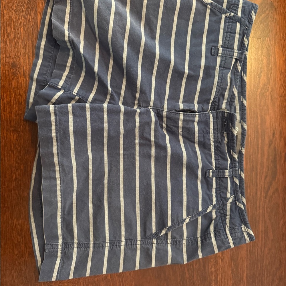 Eddie Bauer Navy and Gray Striped Shorts